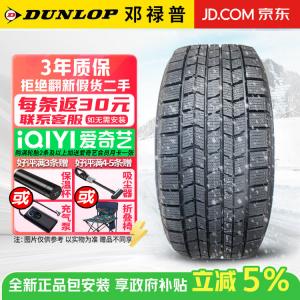 Dunlop Зимние шины dsx-2 175/65R14 82q антискользящие снежные, продается только комплектом