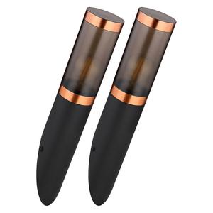 Комплект из 2 светодиодных уличных настенных светильников из нержавеющей стали, черного, дымчатого и медного цвета Globo Lighting, черный