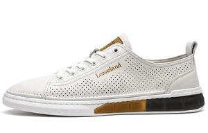 Кеды мужские, обувь для скейтбординга низкая Leaveland, белый