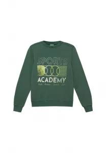 Толстовка S.Oliver, Tannengrün