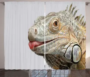 Штора Iguana Rustic от ABAKUHAUS, реалистичная фотография природы, присборенная тесьма для спальни с петлями и крючками, 280 x 245 см, цвет: бледно-шалфейно-зеленый, белый Abakuhaus