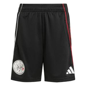 Обычные спортивные штаны ADIDAS PERFORMANCE Ajax Tiro 25 Competition, черный