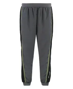 Спортивные брюки из технологичной ткани Emporio Armani Ea7, серый