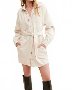 Оверсайз рубашка-мини платье Great Egret Hudson, Great Egret