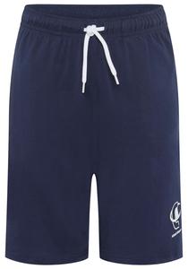 Champion Authentic Athletic Apparel Шорты Regular в темно-синем цвете