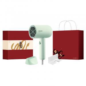 Фен 1800W с отрицательными ионами для ухода за волосами, с холодным и горячим воздухом, высокая мощность, быстрая сушка PH1621 POREE