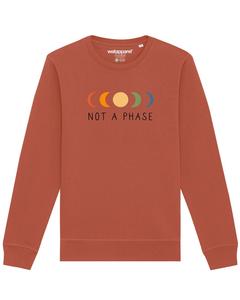 Свитер Watapparel Sweatshirt Not a Phase, светло-коричневый