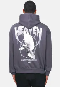 Толстовка с капюшоном в виде голубя из толстой проволоки Dropsize, Steel Grey