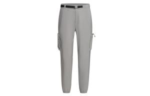 Спортивные штаны bleu мужские DESCENTE, серый