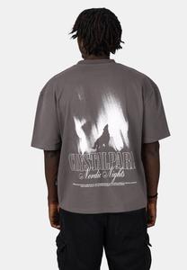 Футболка с принтом WOLF CRYSTAL PARIS, серый
