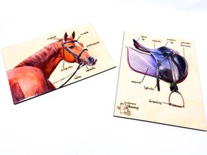 Конструкция седел и уздечек, обучающие доски. Inna marka