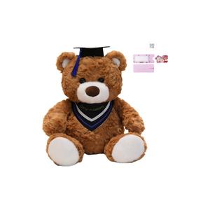 Плюшевая кукла Graduated Doctor Bear высотой 22см/32см AOLETU