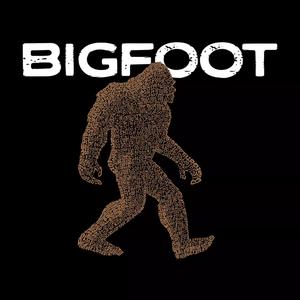 Bigfoot — мужская бейсбольная футболка с надписью реглан LA Pop Art