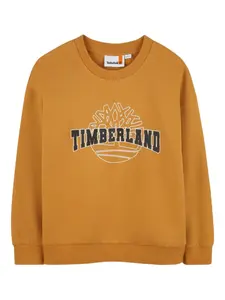 Толстовка с логотипом Timberland Kids, желтый