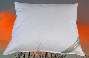 Подушка BENELUX подушка пуховая подушка 60х70 см 100% пух пушистый мягкий 550 г средний Betten Hofmann