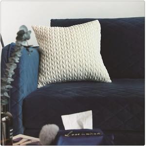 DUYHBAWRS Чехол для подушки из вельвета однотонный наволочка для спальни и гостиной Onecolor