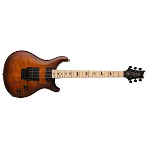 Электрогитара PRS Paul Reed Smith DW CE 24 Floyd Dustie Waring Burnt Amber Smokeburst + чехол для гитары PRS - НОВАЯ