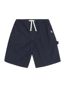 Брюки ELEMENT CARPENTER, темно-синий