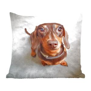 MuchoWow декоративная подушка диванная подушка гостиная декоративная подушка 40х40 см крупный план головы таксы - чехлы на диванные подушки - без наполнителя