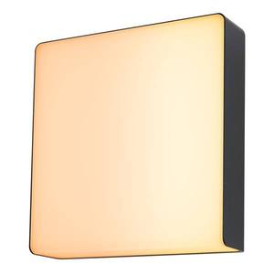 Настенный светильник Paulmann Azalena mit Sensor, антрацитовый