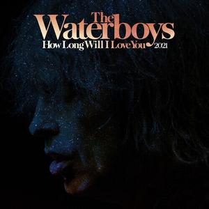 Сингл 12" Waterboys: How Long Will I Love You (2021 Remix) (RSD)