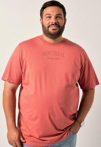 Футболка Men Plus Print T-shirt, Rouge/Light Red