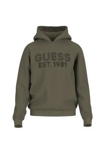 Толстовка с капюшоном худи красавчик Guess, зеленый