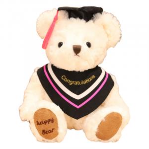 Плюшевый мишка Doctor Bear, плюшевая кукла для выпускного сезона, высота 20 см DUOMIAOYOU