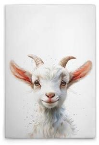Картина на холсте A.S. Création Baby Billy Goat цвет weissbeigerosa