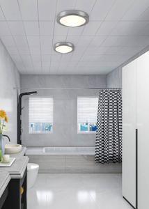 Потолочный светильник Trio Condus, сталь / опаловое стекло - хром