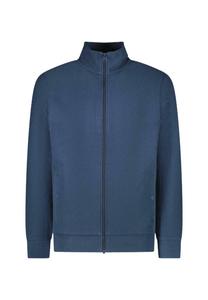 Толстовка Cars Jeans TAYLEN, Navy/Blue