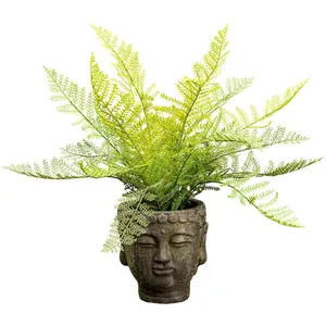 Креативное зеленое искусственное растение «Папоротник» в необычной таре Creativ Green, зеленый