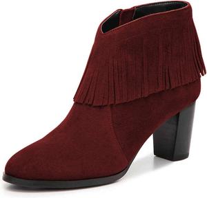 Женские стильные ботильоны YDN с массивным средним каблуком, кисточками, заостренным носком, бахромой, зимние сапоги, на молнии, для офиса и платьев, Wine Red