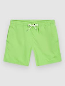 Пляжные шорты O'Neill Vert 14″ Kids Boardshorts, paradise valley