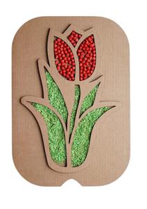 Сенсорный тюльпан Inna marka