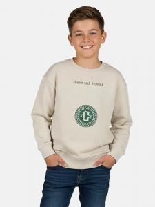 Толстовка Defend бежевого цвета Cars