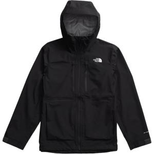 THE NORTH FACE Мужская куртка, цвет Black