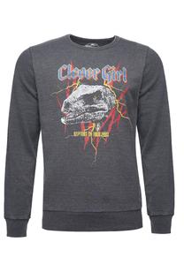 Толстовка Recovered Jurassic Park T-Rex Rock, серый