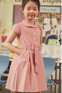 Школьное платье из хлопка с принтом виши поясом и резинкой для волос Next, красный