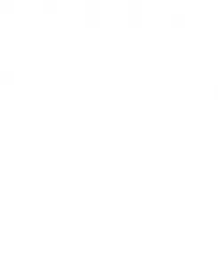 Женские балетки Gianvito Gianvito Rossi, коричневый