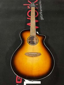 Акустическая гитара Breedlove ECO Discovery S Concert CE 12-string Acoustic-electric Guitar - Edgeburst