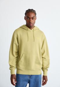 Толстовка Dickies PLENTYWOOD HOODIE, Evergreen Sprig/Dark Green