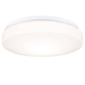 Потолочный светильник Paulmann Axin, поликарбонат - 1-пламенный