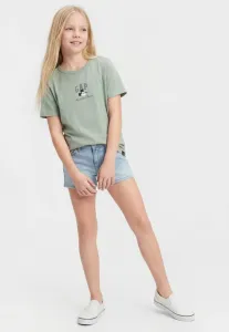 Футболка унисекс с весенним принтом dislogo Gap, Iceburg