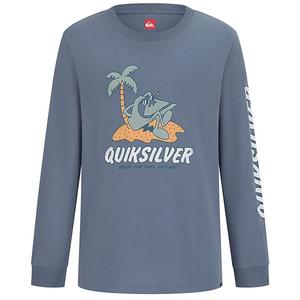 Графическая футболка с длинным рукавом для мальчиков 8-20 Quiksilver