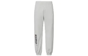 Трикотажные спортивные штаны мужские Ice Gray Evisu, серый