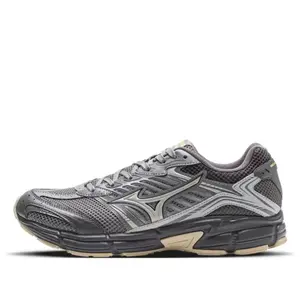 Кроссовки Mizuno Speed 2010 'Grey Silver', серый