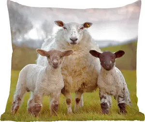 Декоративная подушка для дивана, декоративная подушка для гостиной, 40x40 см, овца, трава, портрет, фотоподушка, украшение для спальни MuchoWow