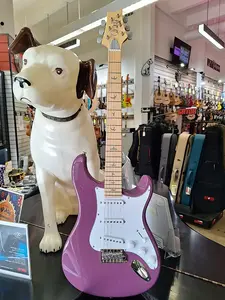 PRS SE Silver Sky 2022 - настоящее время - Summit Purple
