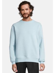 Толстовка Salzhaut, цвет breeze